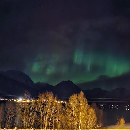 Ramfjord Apartment Tromso Bagian luar foto