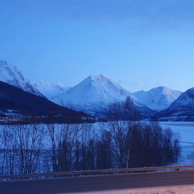 Ramfjord Apartment Tromso Bagian luar foto